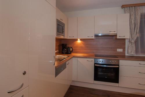 Chalet Paznaun - image 3