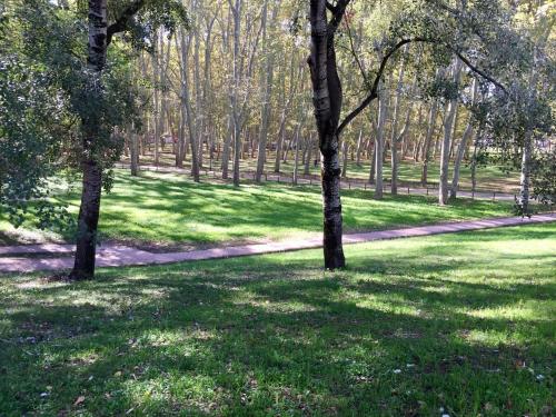 附近景點, PISO CENTRICO DE 100 M2 in 日耳曼薩巴特