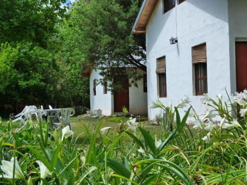

Cabañas Finca Don José