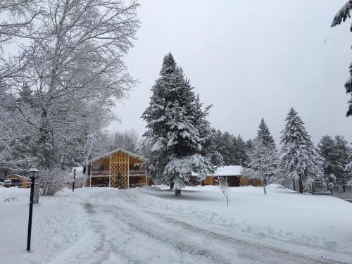 Snowdon Chalet Motel