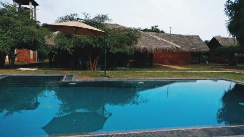 

THE ELEPHANT PASS - YALA