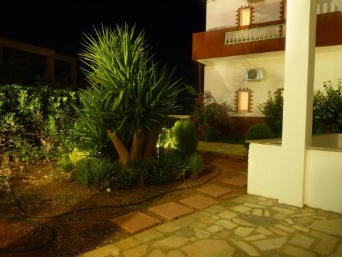 Haris Apartments - image 8
