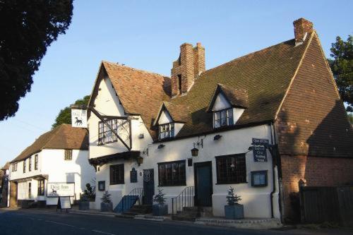 The Dog At Wingham The Dog At Wingham