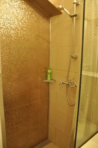 Classical Budapest apartment in the old Pest - image 2