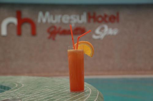 Hotel Muresul Health Spa – Sovata, WI