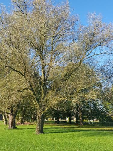 Schaluinenhoeve - image 9