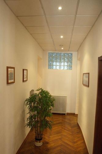 Pensione Rittmeyer - image 11