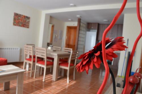 Vivienda Salvia - Apartment - Nogueruelas