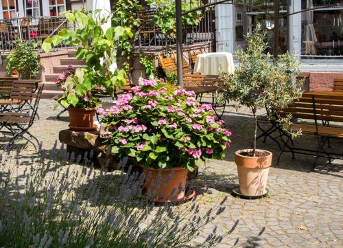 Gasthaus und Hotel Weber - image 7