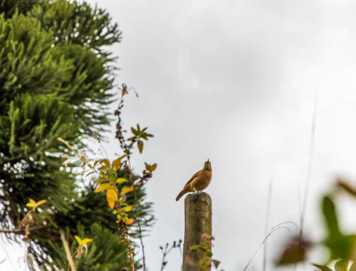 Pousada Recanto da Serra