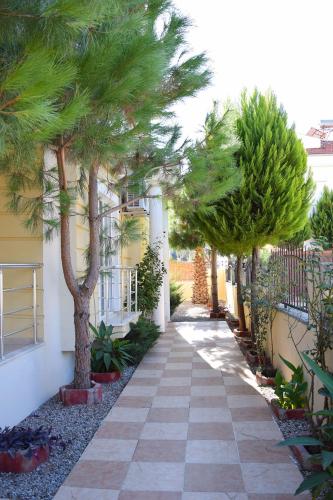 Villa Olive - image 12