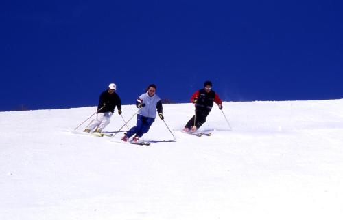 Tateshina Shinyu Onsen