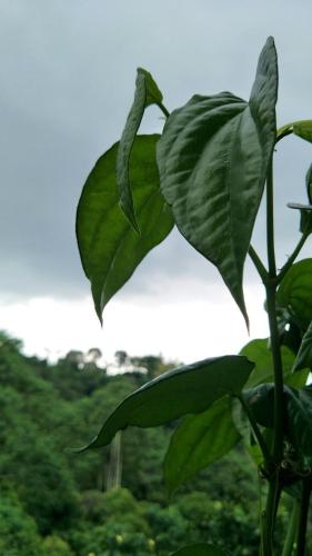 周辺案内, Juo House in 番路（ファンルー）