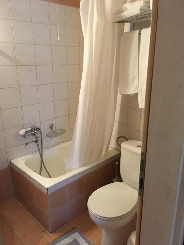 Hotel Orestion - image 9
