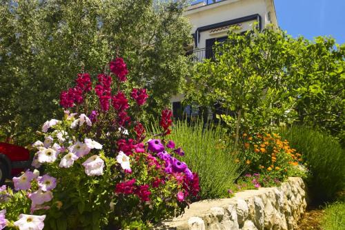  Apartments Vukić 1282 in Vrsi