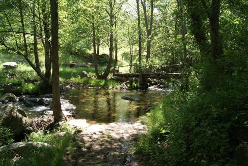 Omgivelser, Casa Rural Cabeza Lobera in Villanueva De Avila