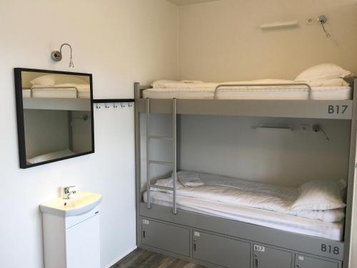 Bunk Bed in Mixed Dormitory Room