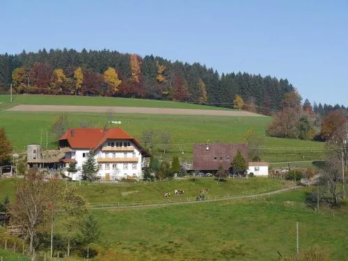 Dischhof in Biederbach Baden-Württemberg, Deutschland