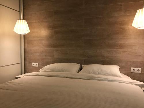 Park University Apartment - image 3