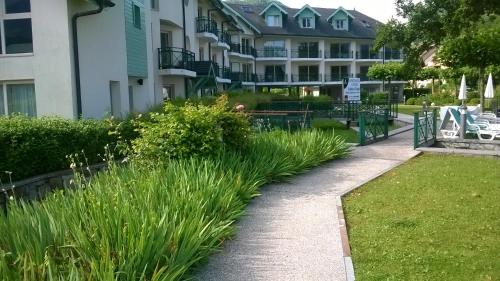 Studio les Pieds dans L'eau au bord du lac d'Annecy