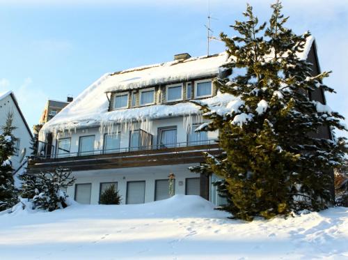 Komfort-Fewo Ettelsberg-Panorama - image 6
