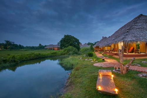 Amuna Ayurveda and Wellness Retreat