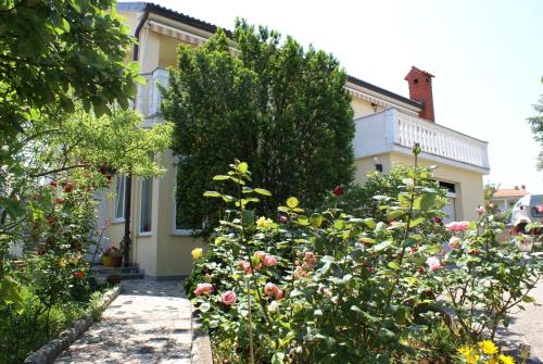 Apartments Nikola - image 8
