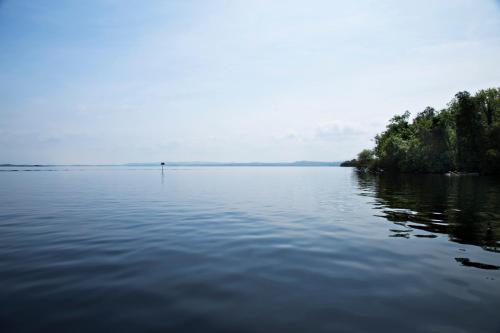 Lusty Beg Island