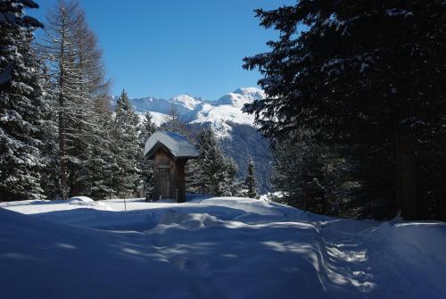 Ferienwohnung in Davos - image 13