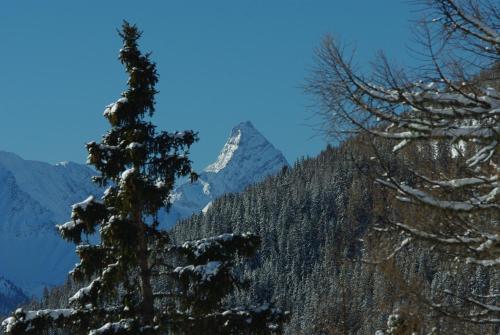 Ferienwohnung in Davos