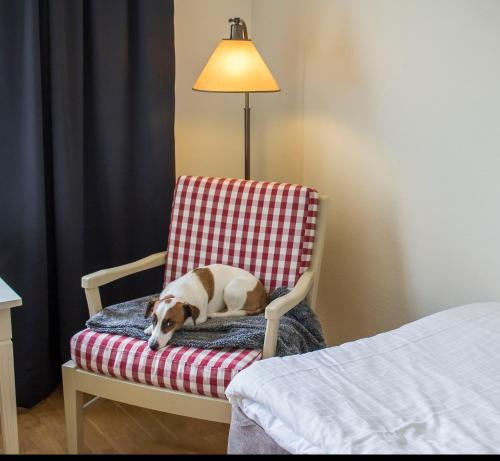 Hotell Frykenstrand; Sure Hotel Collection by Best Western - image 11