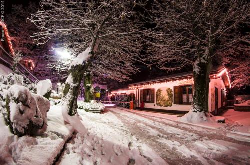 Ieeja, Glamping Villaggio Parco Dei Castagni 4 stelle in Montecreto