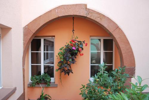 Foto - Logis Hôtel Restaurant Kleiber