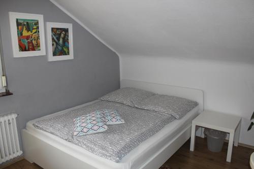 Zimmer David, Kolín nad Rýnem (fotografie 10)