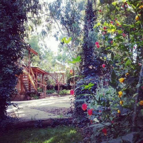 Cottage with Garden View room in Cabañas Las Moras
