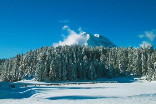 Hotel Hochland - image 2