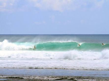 a person riding a wave on top of a surfboard, Made Roejas Homestay in Bali