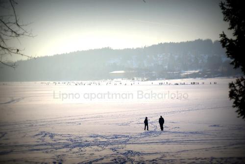 Bakarloko Lipno Apartments