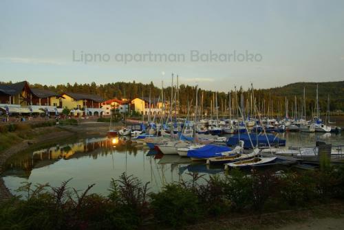 Bakarloko Lipno Apartments