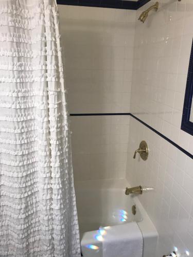 Elaine's Cape May Boutique Hotel
