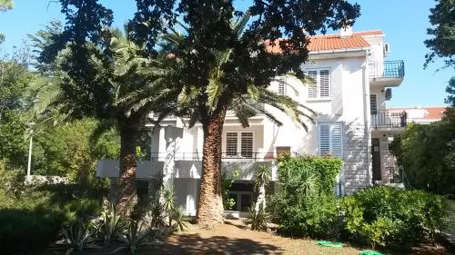  Apartments Zlata in Novalja