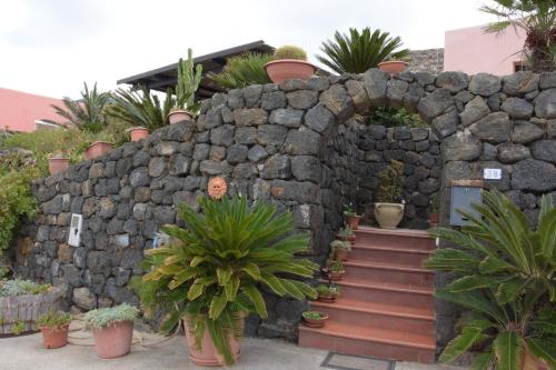 B&B Pantelleria - Le Due Cycas - Bed and Breakfast Pantelleria