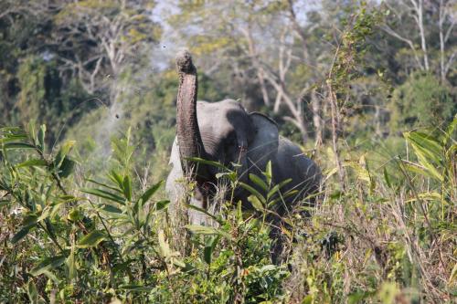 Nature Hunt Eco Camp