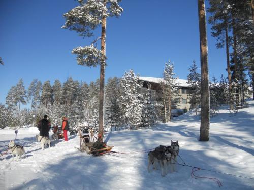 Hotel Kalevala - image 6