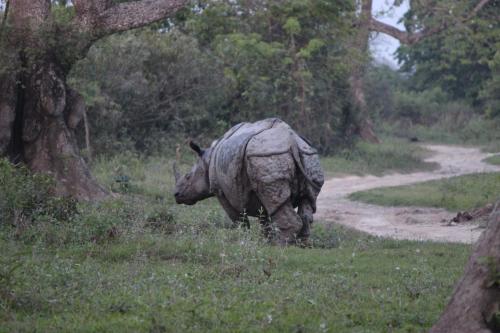 Nature Hunt Eco Camp