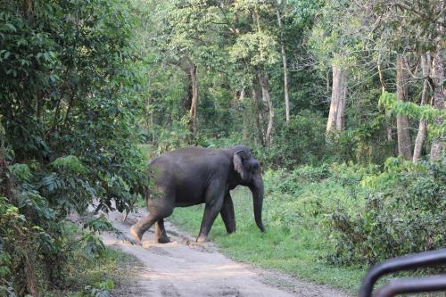 Nature Hunt Eco Camp