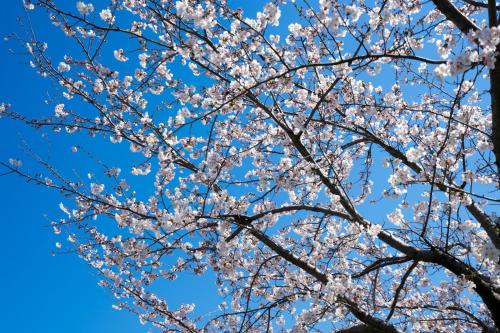 [箱根住宿] 箱根溫泉旅館一泊二食『季の湯雪月花』找回最初 ...