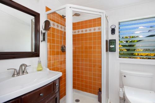 Fern Grotto Inn - image 4