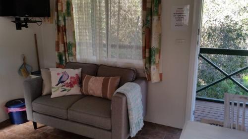 Padthaway Caravan Park in Padthaway