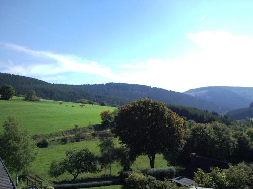 Ferienwohnungen Luge - Winterberg - image 10